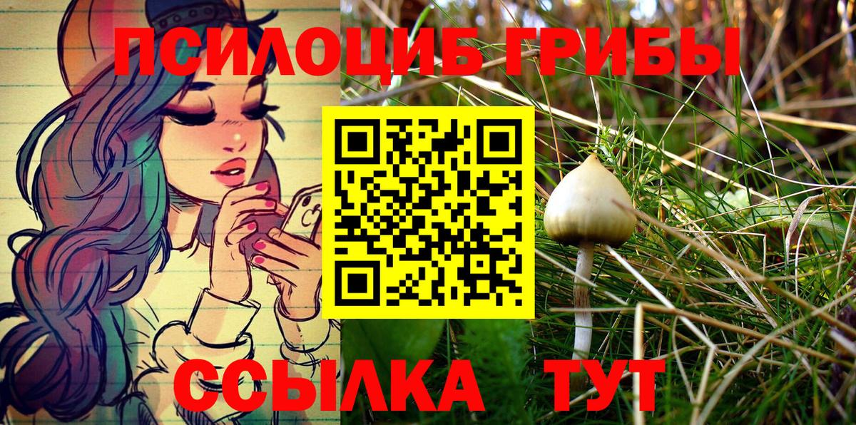 Псилоцибиновые грибы ЛСД  Вход с VPN  Мичуринск 