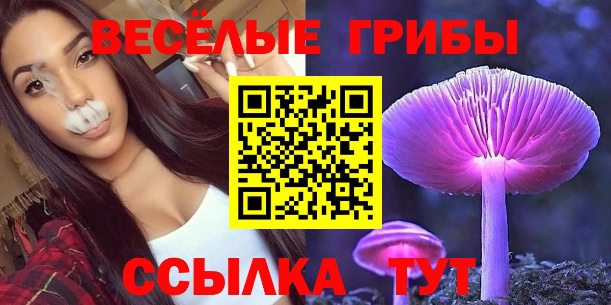 Галлюциногенные грибы мицелий Мичуринск